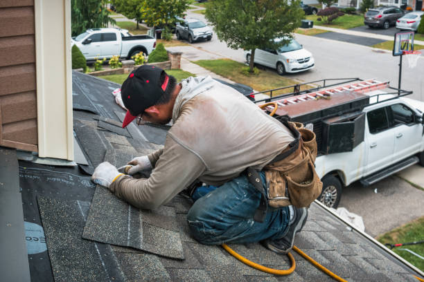 Professional Gutter Repair And Installation technician working in West Olive, MI